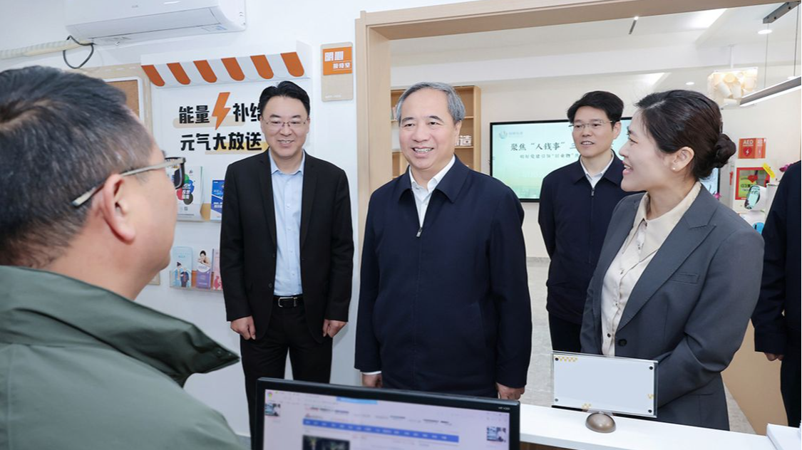 王成调研民生领域信访问题集中治理工作