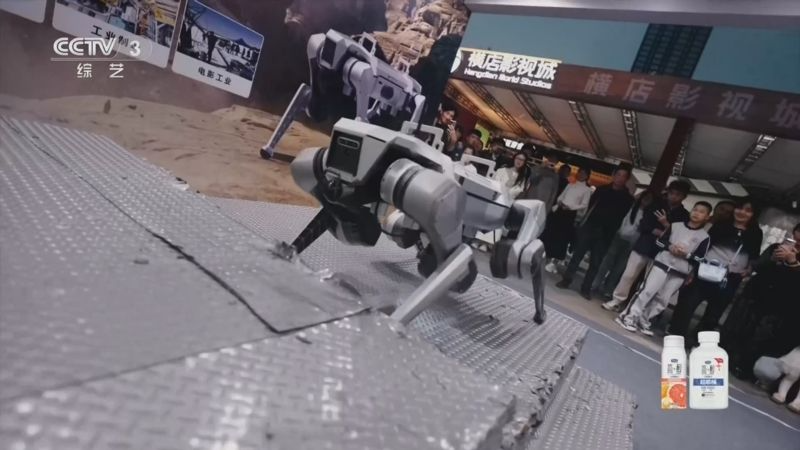 央视关注：电影文化嘉年华点亮宁波 激活“电影+”新动能