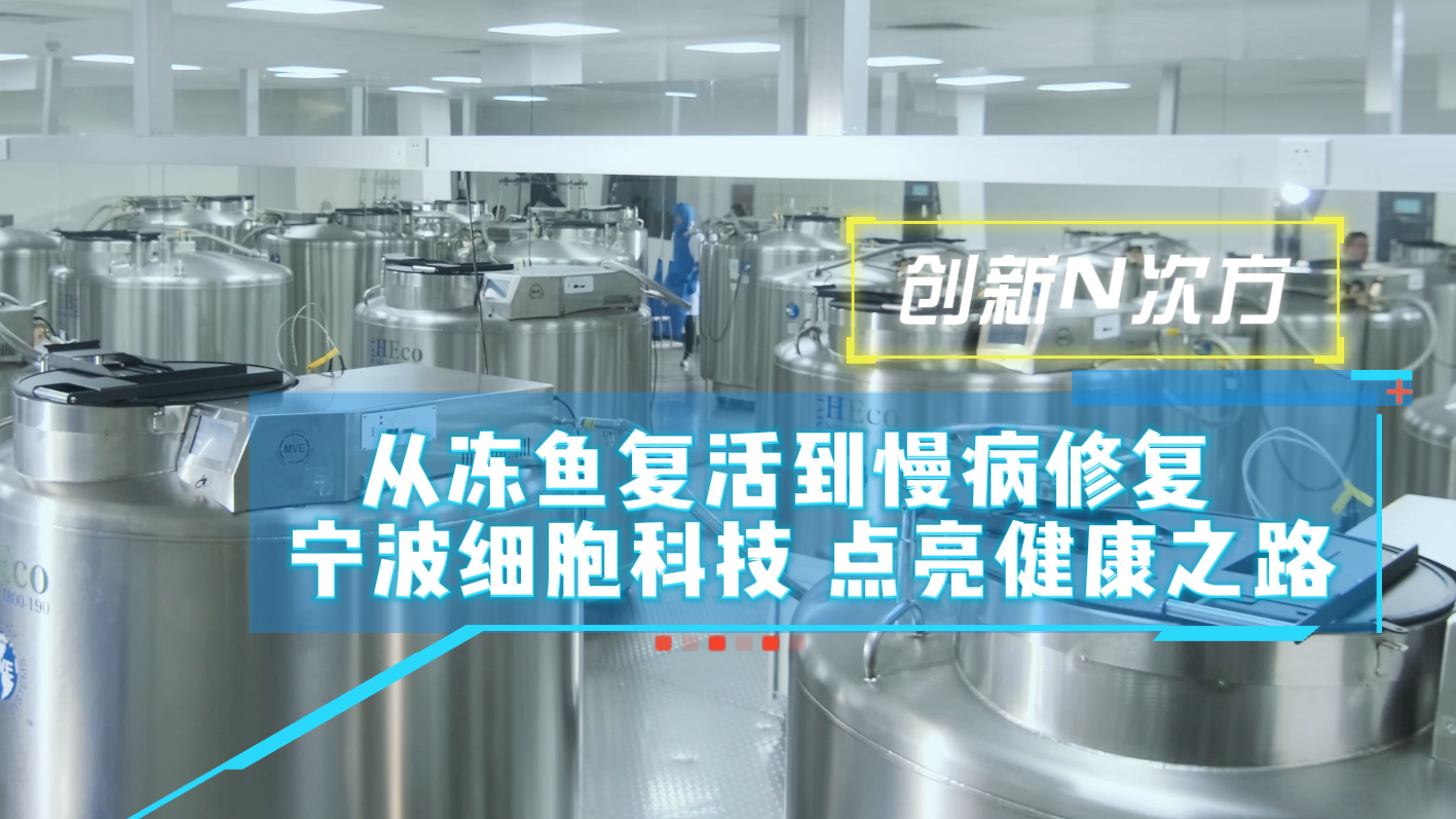 （创新N次方）从冻鱼复活到慢病修复 宁波细胞科技点亮健康之路