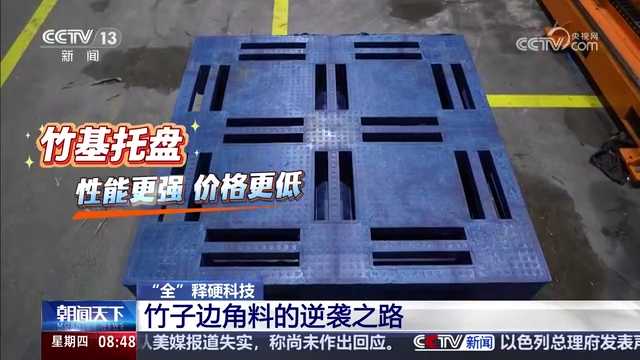 竹子边角料的逆袭之路 宁波硬科技上央视