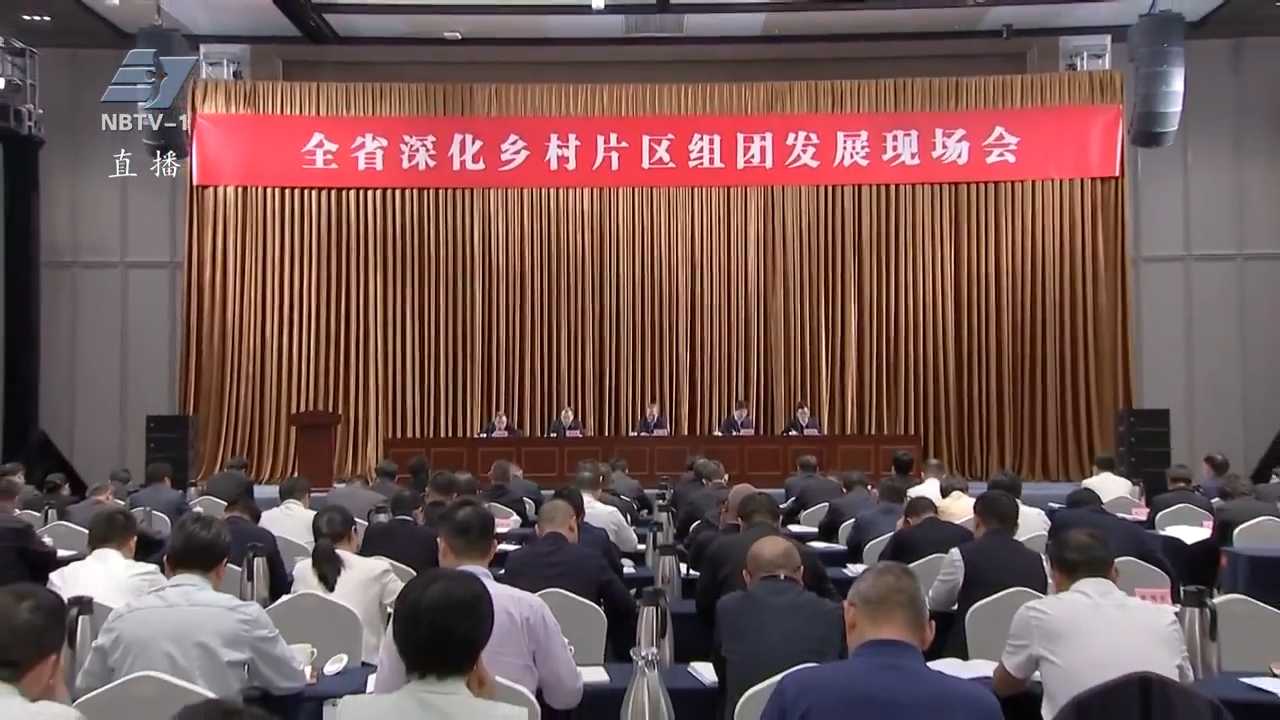 王成：以更大力度更实举措推动乡村片区组团纵深发展