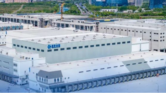 宁波出台18条措施，大宗商品贸易不再“磕磕绊绊”