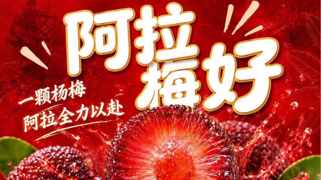 阿拉梅好