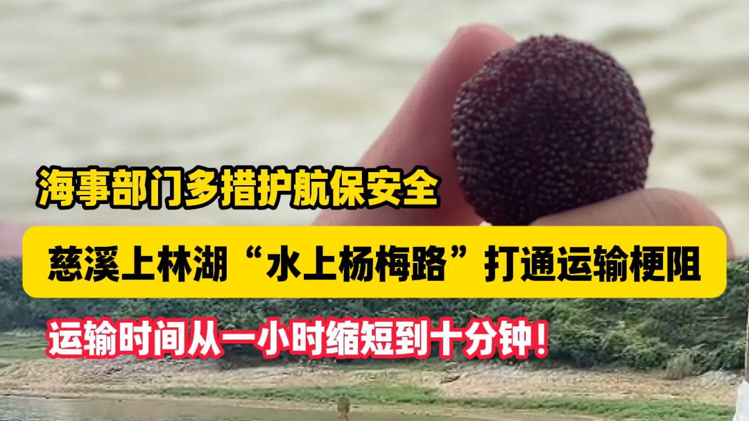 从一小时缩短到十分钟！慈溪上林湖“水上杨梅路”打通运输梗阻 海事部门多措护航保安全