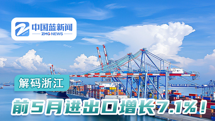 解码浙江丨前5月进出口增长7.1%！民营企业贡献突出