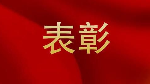 省委表彰！宁波这些个人和组织入选