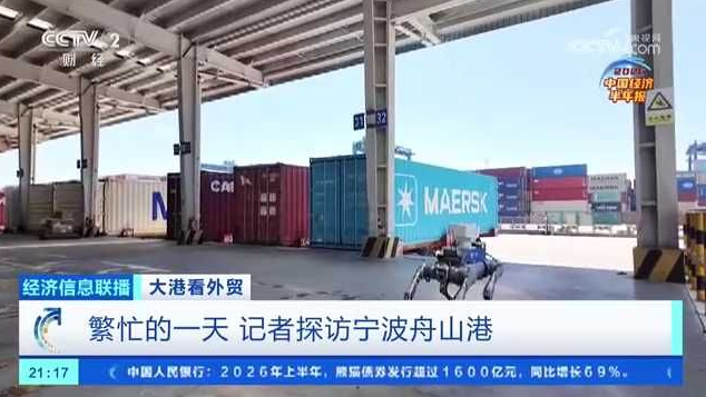 央视“大港看外贸”开篇聚焦宁波舟山港繁忙图景