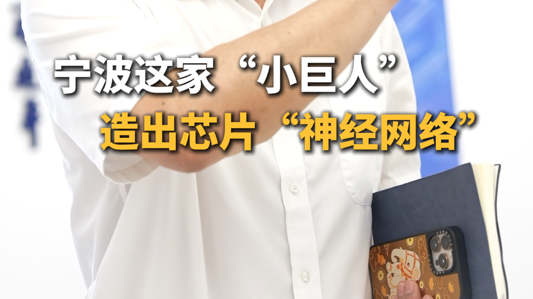 宁波这家“小巨人” ，造出芯片“神经网络”
