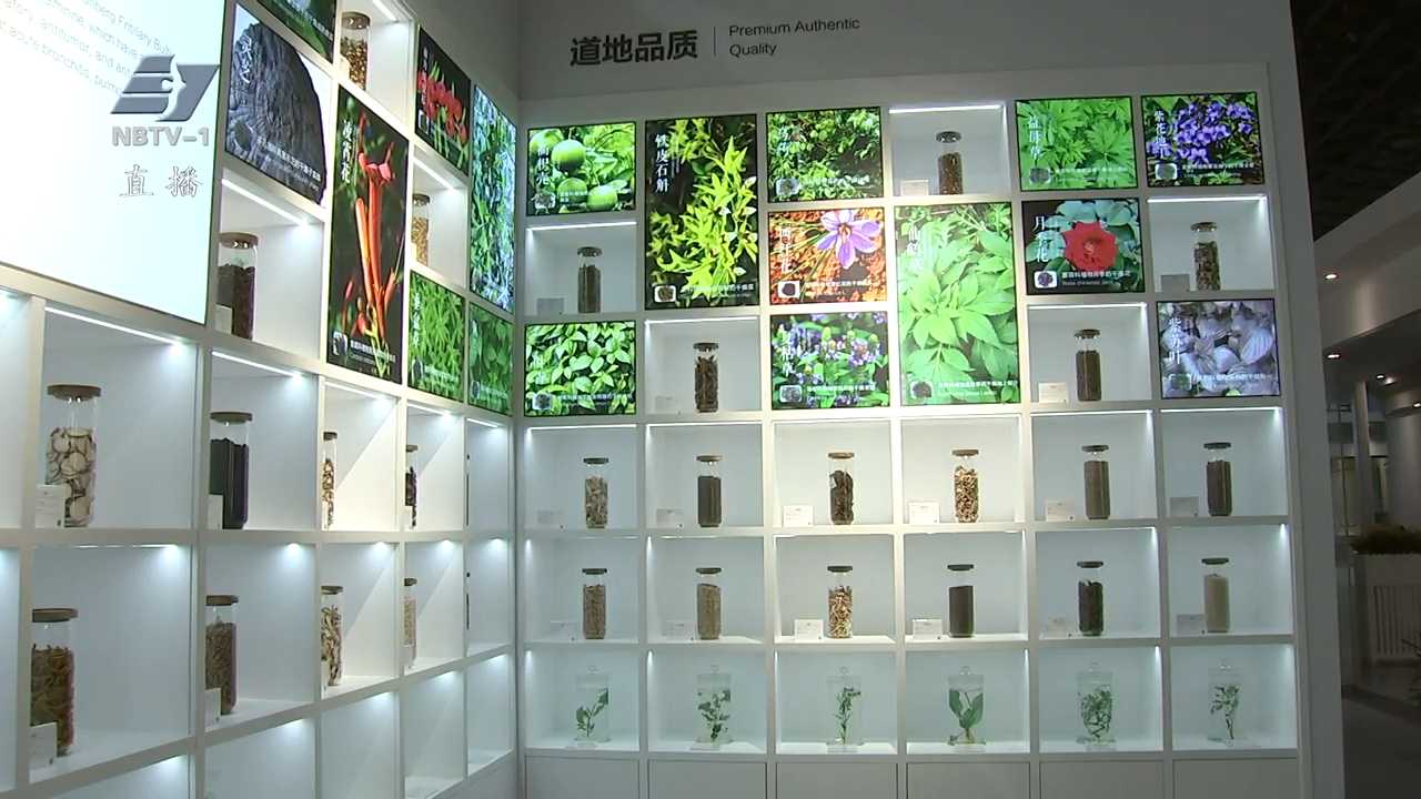 宁波中东欧医药交易（集采）平台上线：打造国药出海新通道
