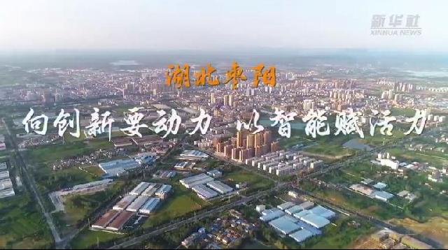 走进县城看发展 | 湖北枣阳：“老产业”新起来 “新产业”强起来