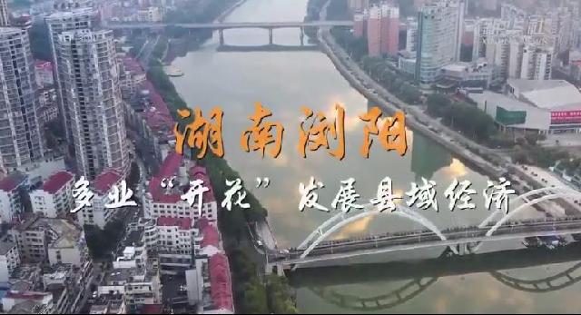 走进县城看发展 | 湖南浏阳：多业“开花”发展县域经济