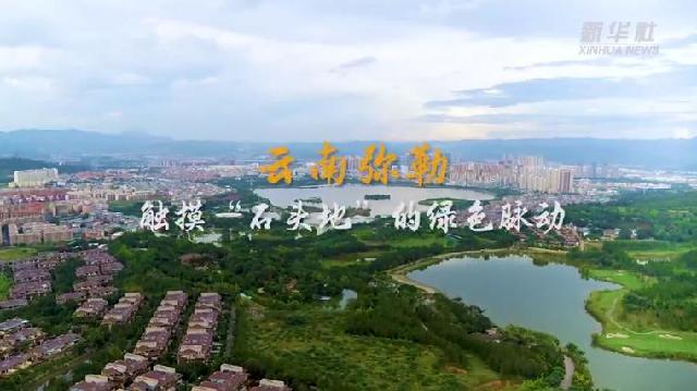走进县城看发展｜云南弥勒：触摸“石头地”的绿色脉动