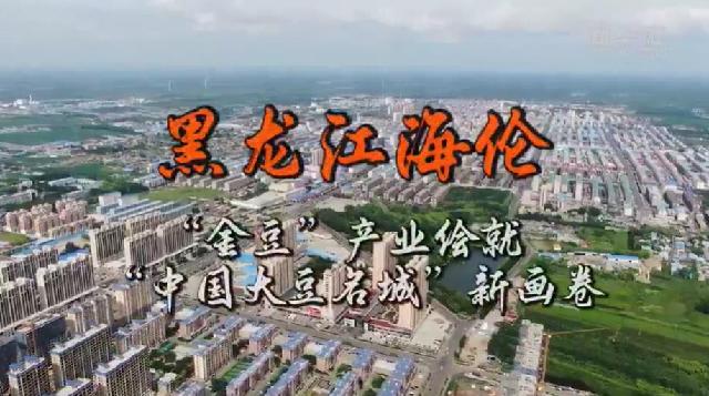 走进县城看发展 | 黑龙江海伦：“金豆”产业绘就“中国大豆名城”新画卷