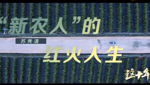 《这十年》微纪录片 第14集《“新农人”的红火人生》苏秀清