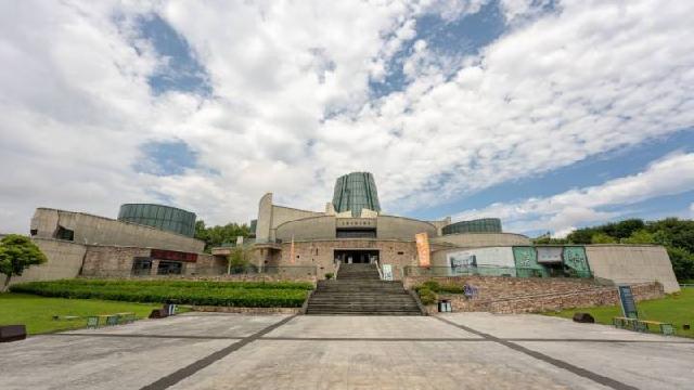 领航中国丨龙泉青瓷，从历史走向未来