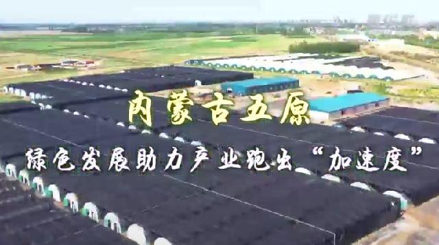 走进县城看发展 | 内蒙古五原：绿色发展助力产业跑出“加速度”