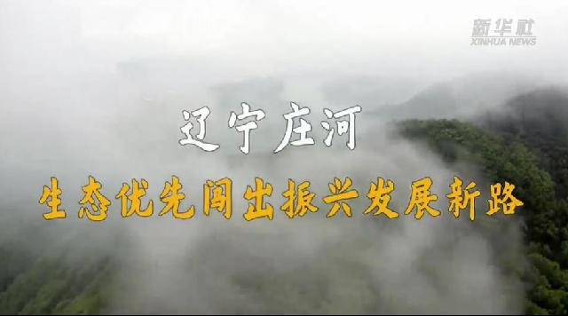 走进县城看发展 | 辽宁庄河：生态优先闯出振兴发展新路