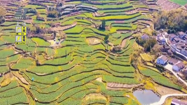 打造乡旅共富路：未来三年宁波乡村旅游这样干