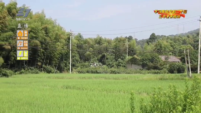 锚定现代化 改革再深化丨打通农业数字化“最后一公里” 莼湖区域性农事服务中心启用