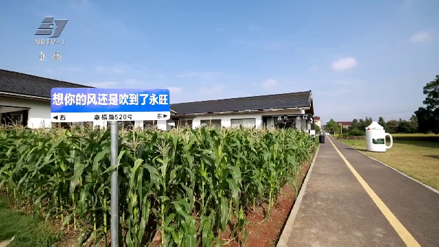 激活“沉睡”资源 打造乡村美丽经济