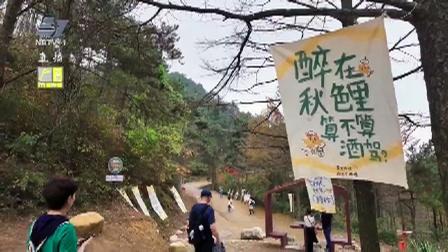 美丽秋色醉人 掀起乡村旅游热潮