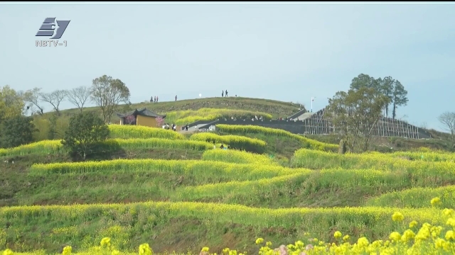 “一场花事”为乡村经济注入活力