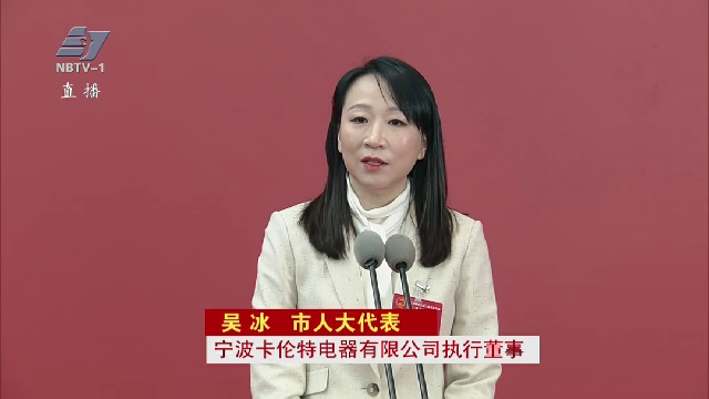 代表通道|吴冰：宁波营商环境“软实力”是民营经济发展的“硬支撑”