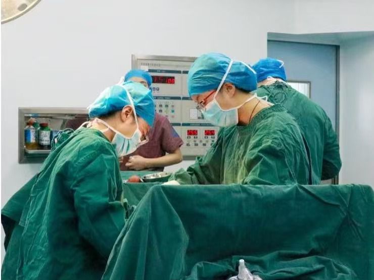 十四载“甬”心援疆，宁波携手库车绘就“同心圆”