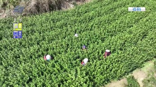 “今天我发布”举行“非遗在宁波”专场发布会