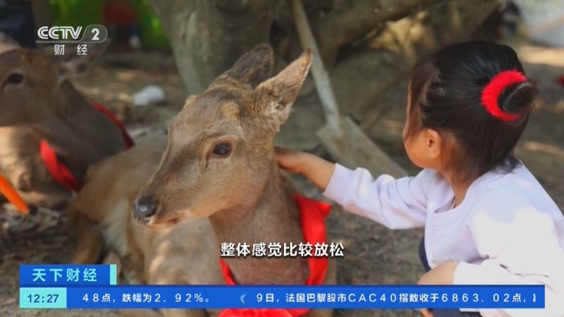 央视关注宁波：特色村咖 非遗民宿 农旅融合带动乡村经济