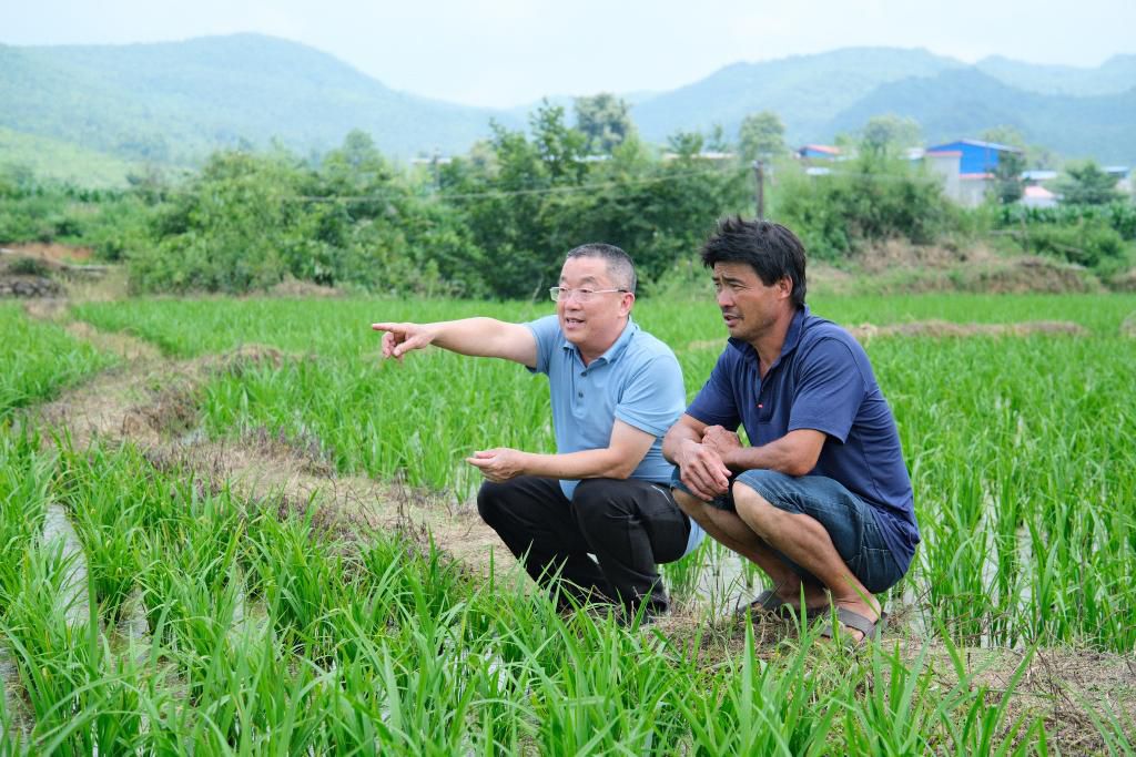 党旗在基层一线高高飘扬丨十年驻守米飘香——驻村第一书记莫日发的乡村印记