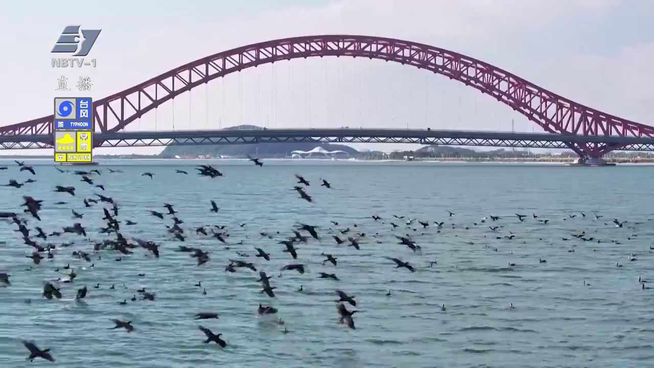四明回响 | 山海间的“双向奔赴”：北仑的生态经济协奏曲