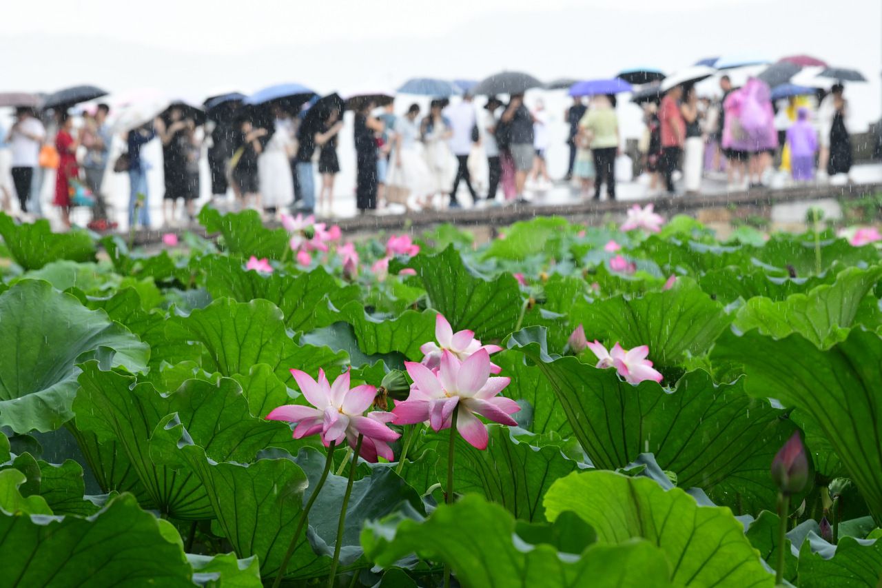 台风“竹节草”复活，今明雨势增强，浙北局部暴雨到大暴雨