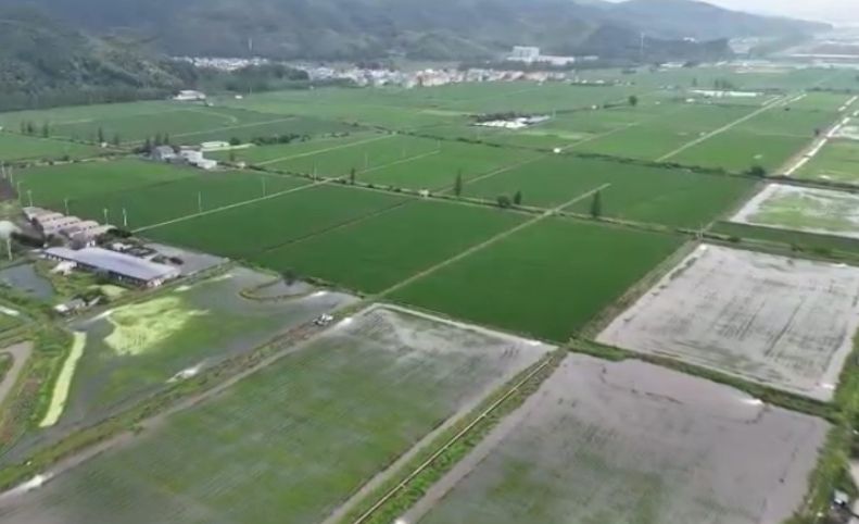 8号台风“竹节草”逐渐远离 我市今天凌晨到上午出现强降水
