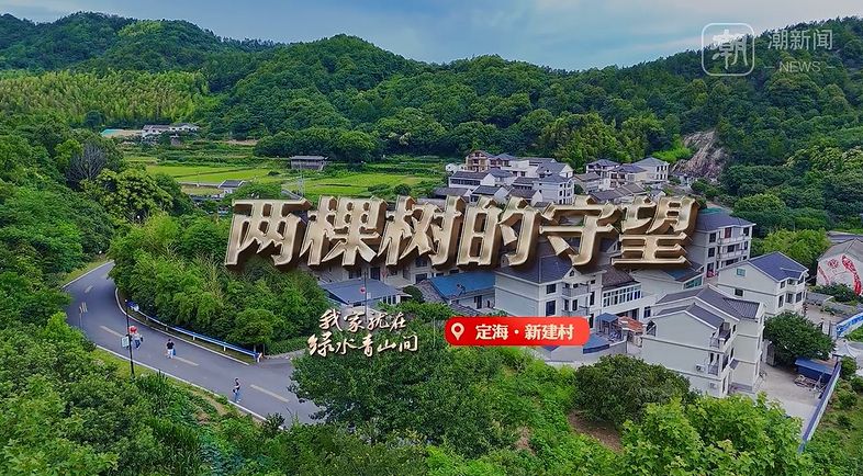 我家就在绿水青山间丨两棵树的守望