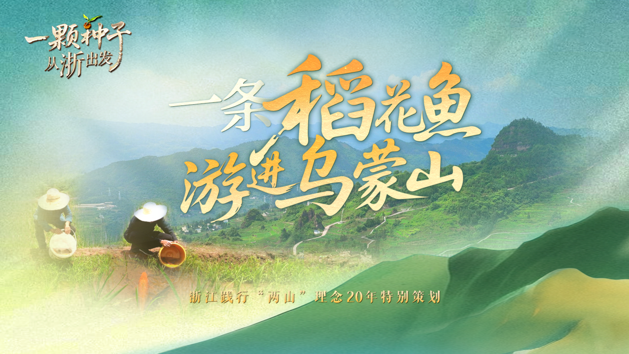 一颗种子从浙出发丨一条稻花鱼“游”进乌蒙山