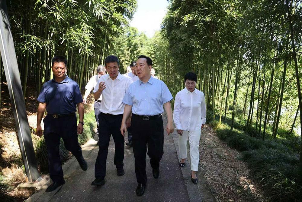 王浩在杭州专题调研生态环保工作时强调 深入践行绿水青山就是金山银山理念 让绿色成为浙江发展最动人的色彩