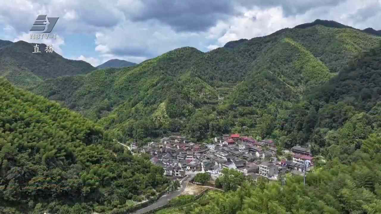 铭记历史 缅怀先烈丨溪口抗战：剡江之畔的烽火与新生