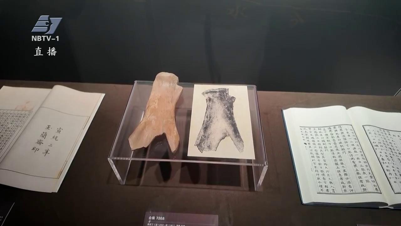 国庆中秋长假·看展 | 天一阁双“特展”迎万人关注