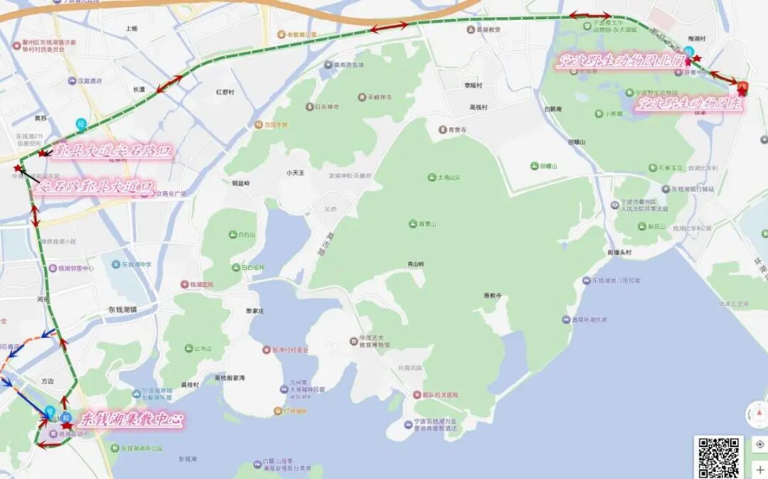 接驳地铁东钱湖站与野生动物园，这条重阳节专线明起开通！