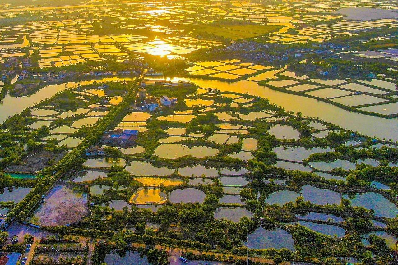 践行“绿水青山就是金山银山”理念20年，浙江乡村如何创新运营模式？