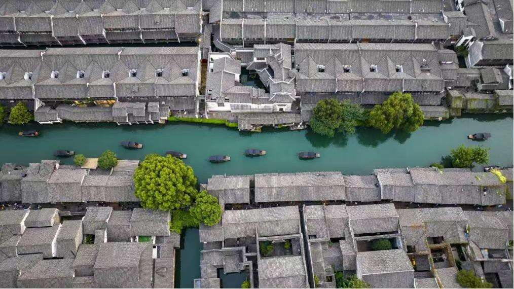 乌镇脉动丨一“网”情深，数字桥梁上的跨国“搭子”