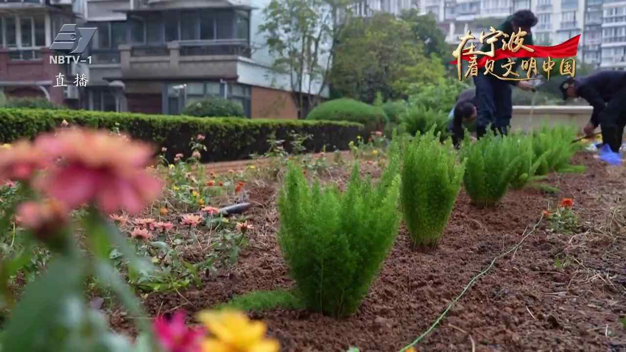 文明，一座城市的自觉品格