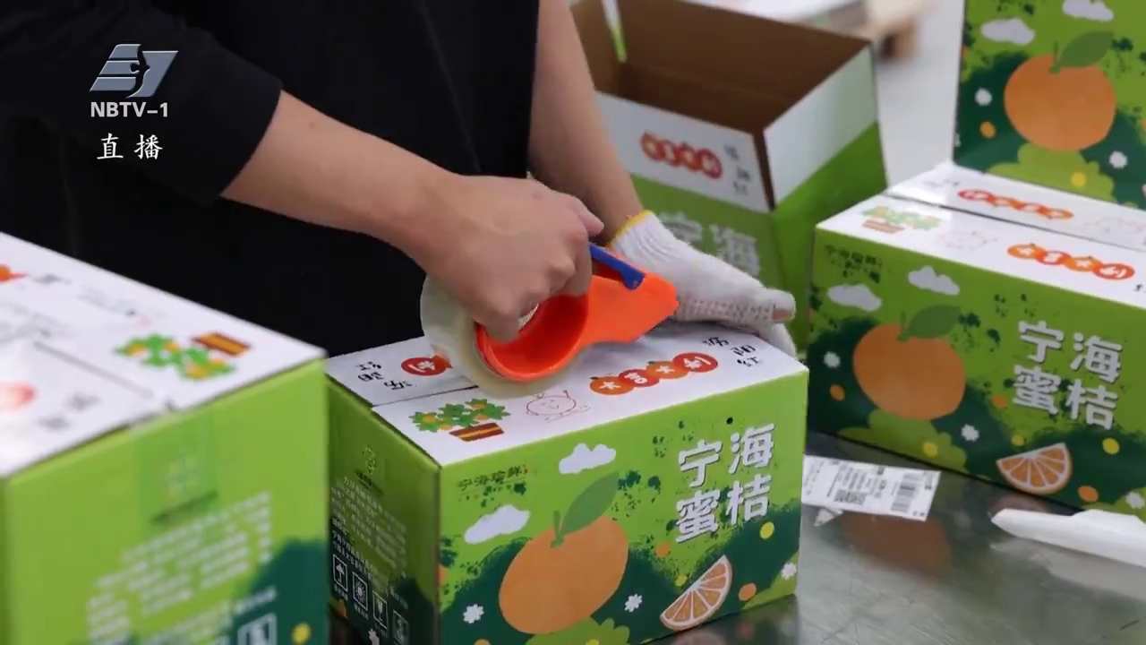 我的这五年丨6公里洞明线铺就农户“共富快车道”