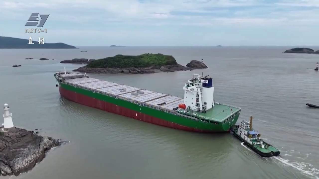 我的这五年 | 航运政务改革：从3个月“停航办证”到10天“不停航办证”