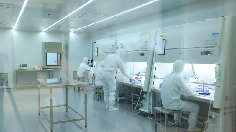 奋战四季度 夺取全年胜丨10个细分行业入选国家级实践样本 浙江加快提升企业数字化水平