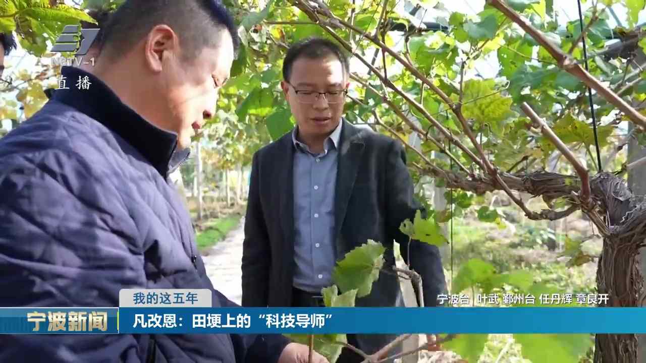 我的这五年丨凡改恩：田埂上的“科技导师”