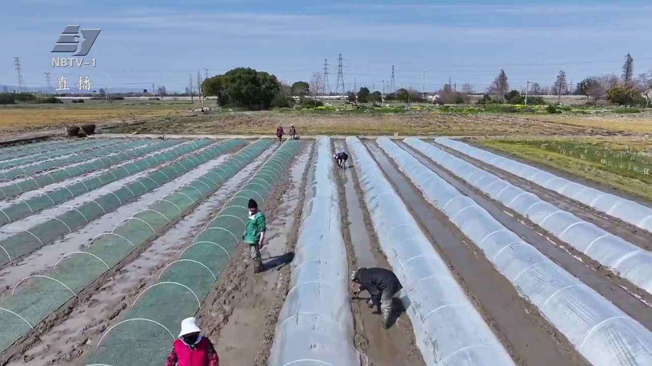 春耕备耕正当时 粮食生产起步稳
