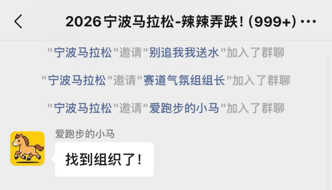 宁波马拉松微信群，群聊内容曝光
