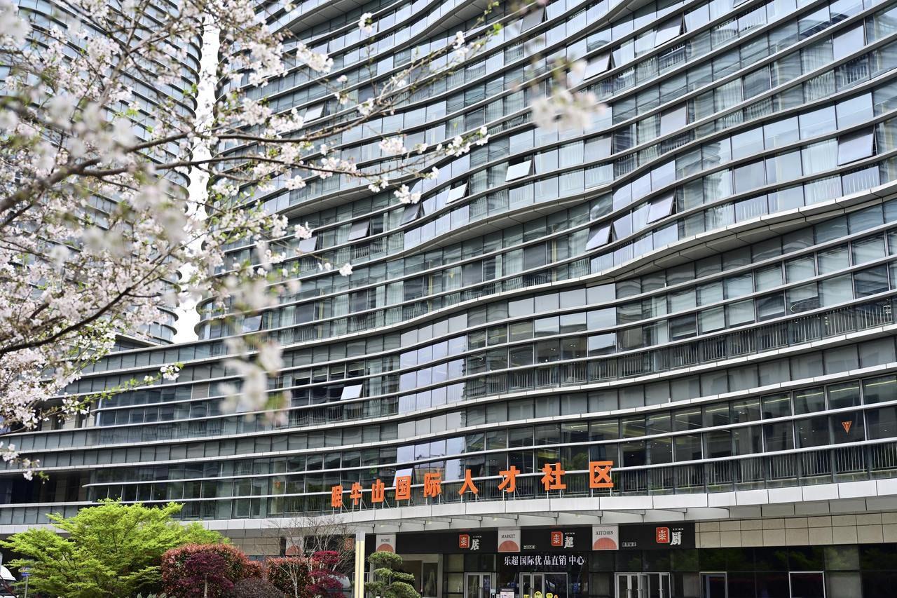 这棵“梧桐树”，为何让全球“金凤凰”舍不得飞？